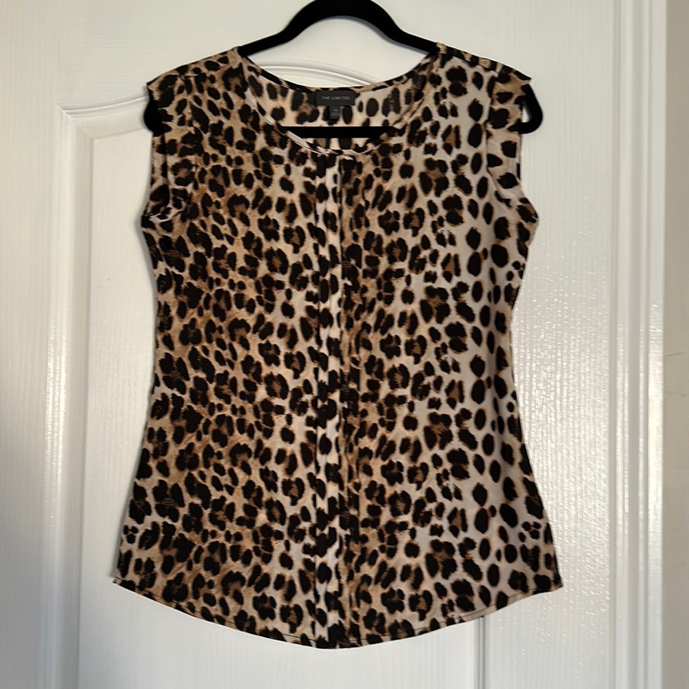 The Limited Blouse